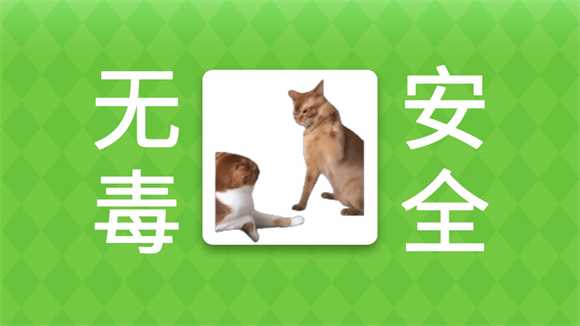 新手入门指南3