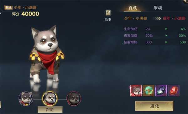 宠物玩法攻略2