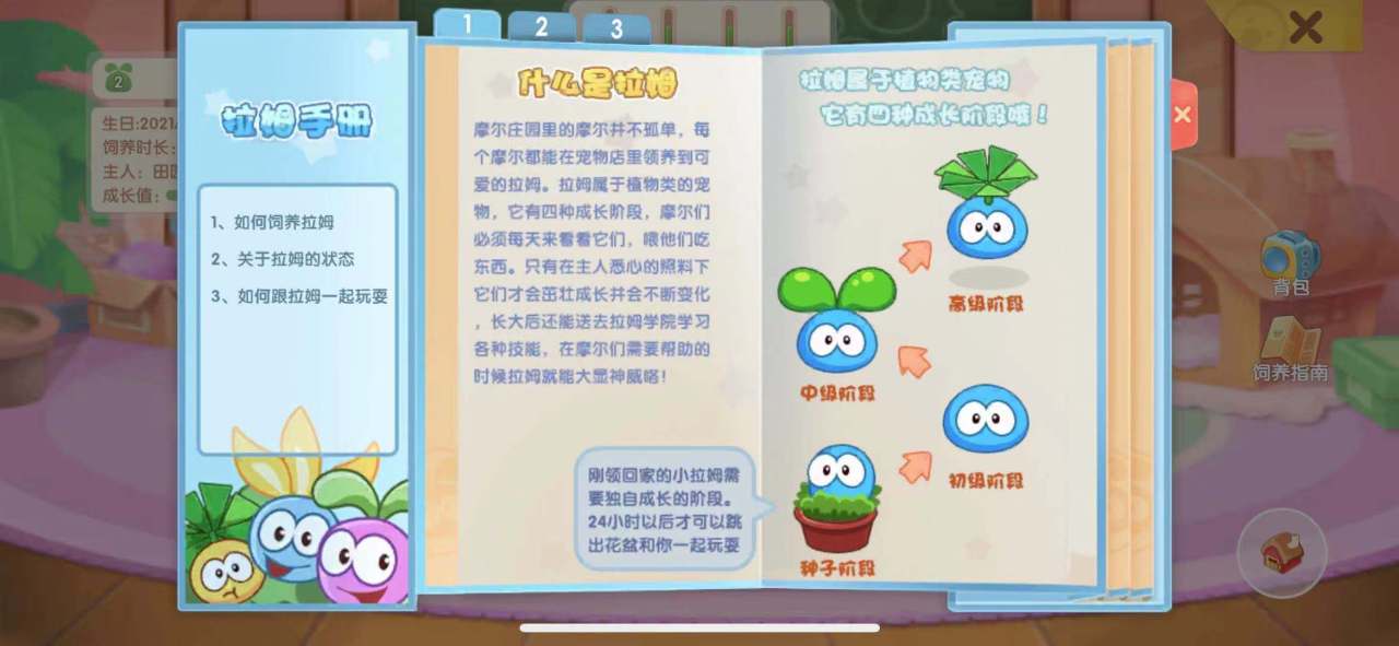 摩尔庄园玄冰妖蜂需要怎样的组队