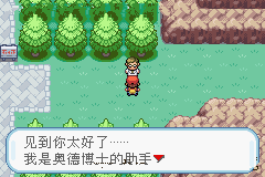 口袋妖怪各个属性中谁是最强大的宠物