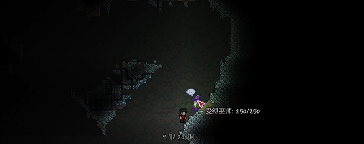 泰拉瑞亚巫师售卖哪些道具