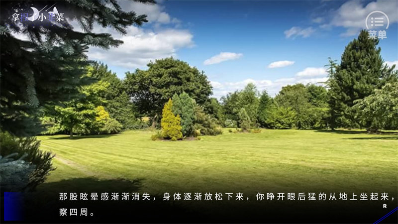 BTS拿捏了小韭菜破解版