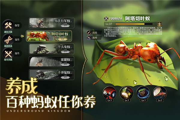 小小蚁国犀游版本