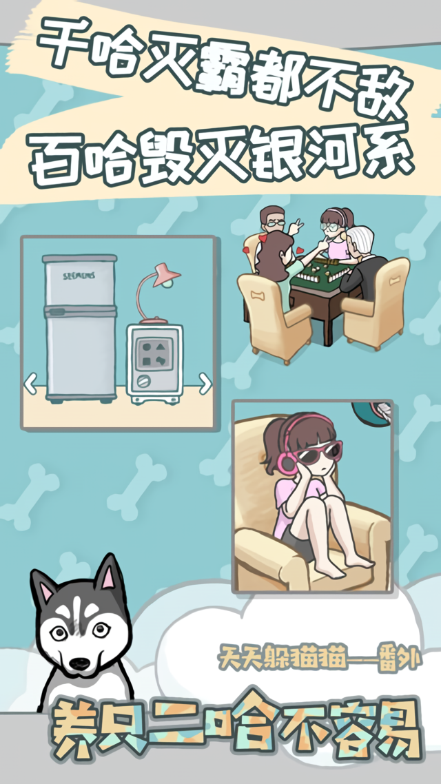 养只二哈不容易官方版