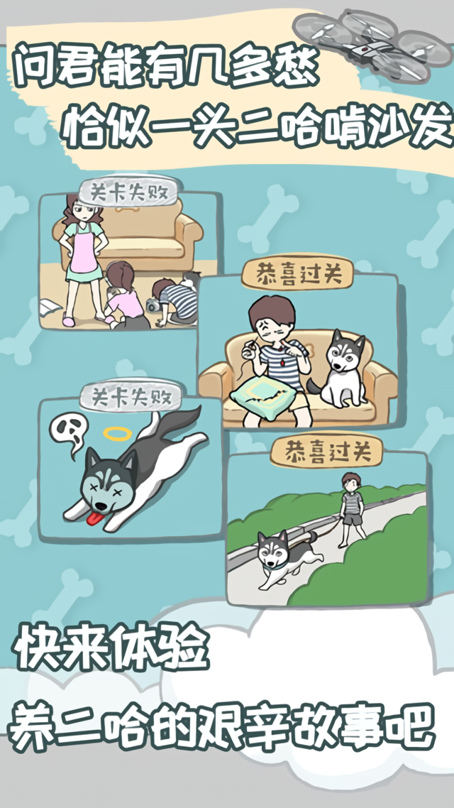 养只二哈不容易官方版