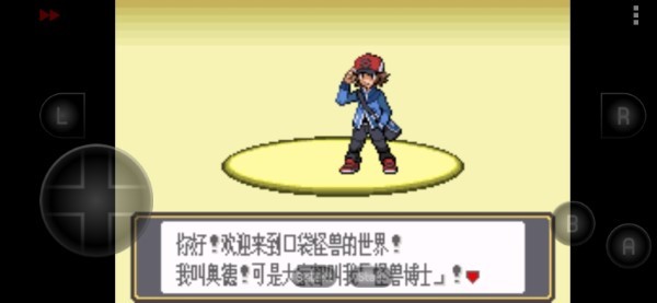 口袋妖怪黑白内置金手指版