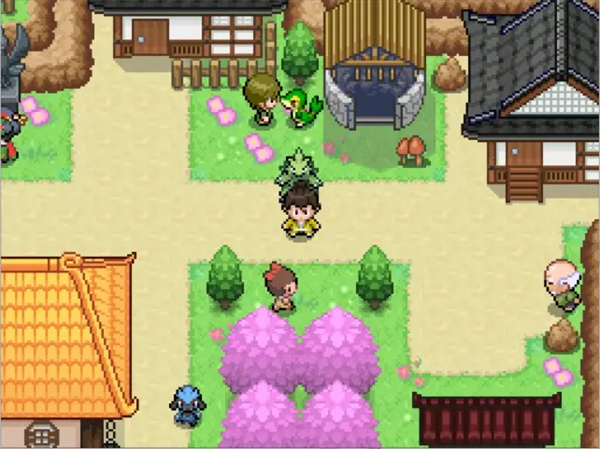 宝可梦武士道手机版