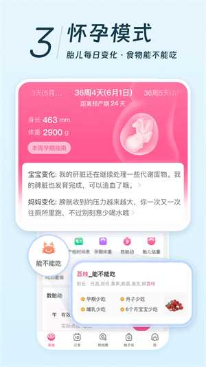 美柚官方版