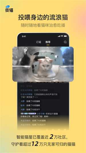 哈啰街猫最新版