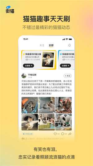 哈啰街猫最新版