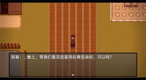 流星降临的小镇来自过去的幽灵手机版